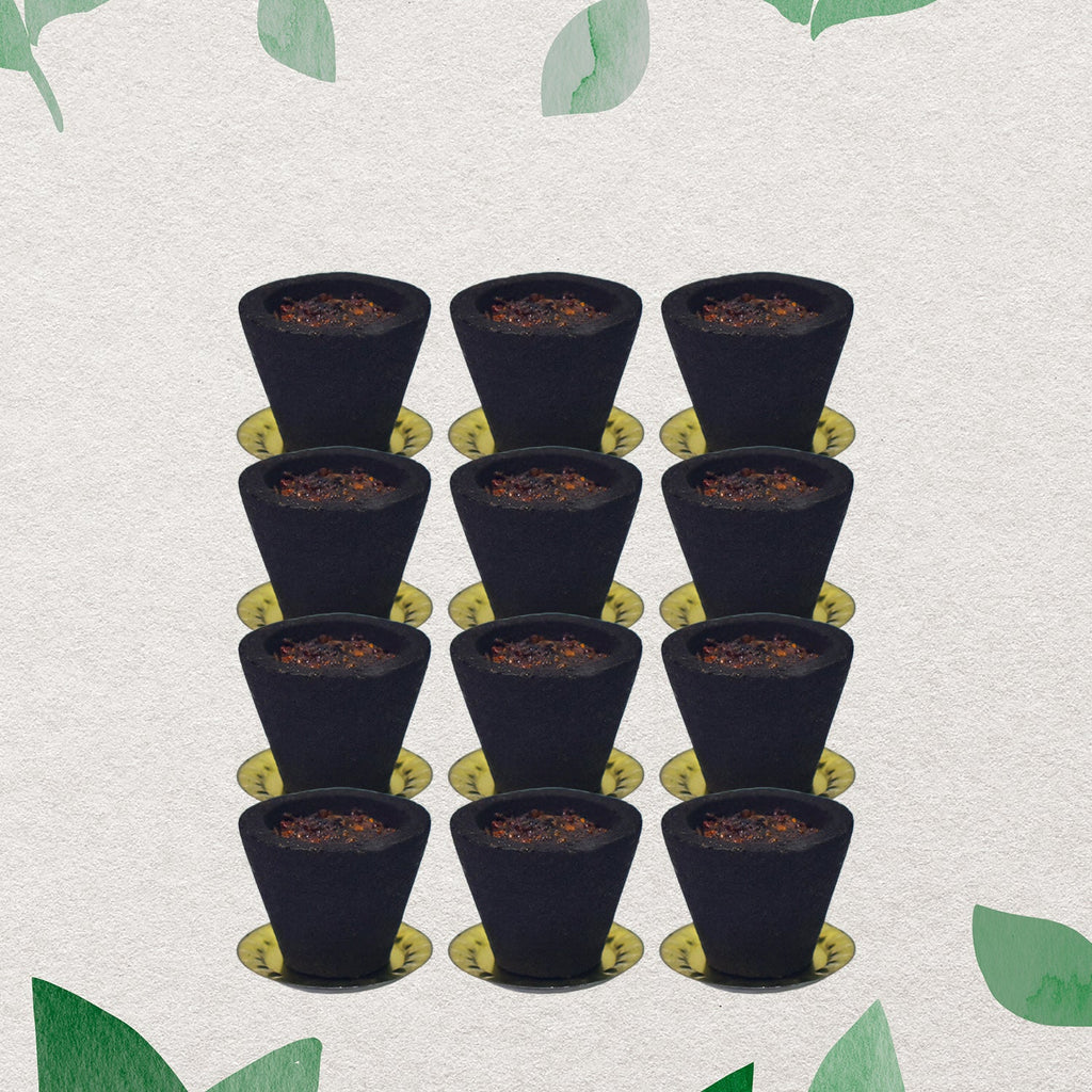 Premium Gugal Sambrani Cup Sambrani Havan Cups (12 Pcs Set)-Home Improvement-AniGuess-AniGuess