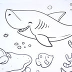  Educational Coloring Roll - feature