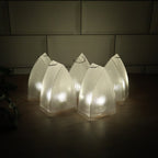 LED Lights