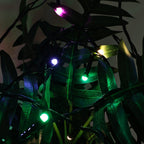 Luxury LED Fairy Light Set