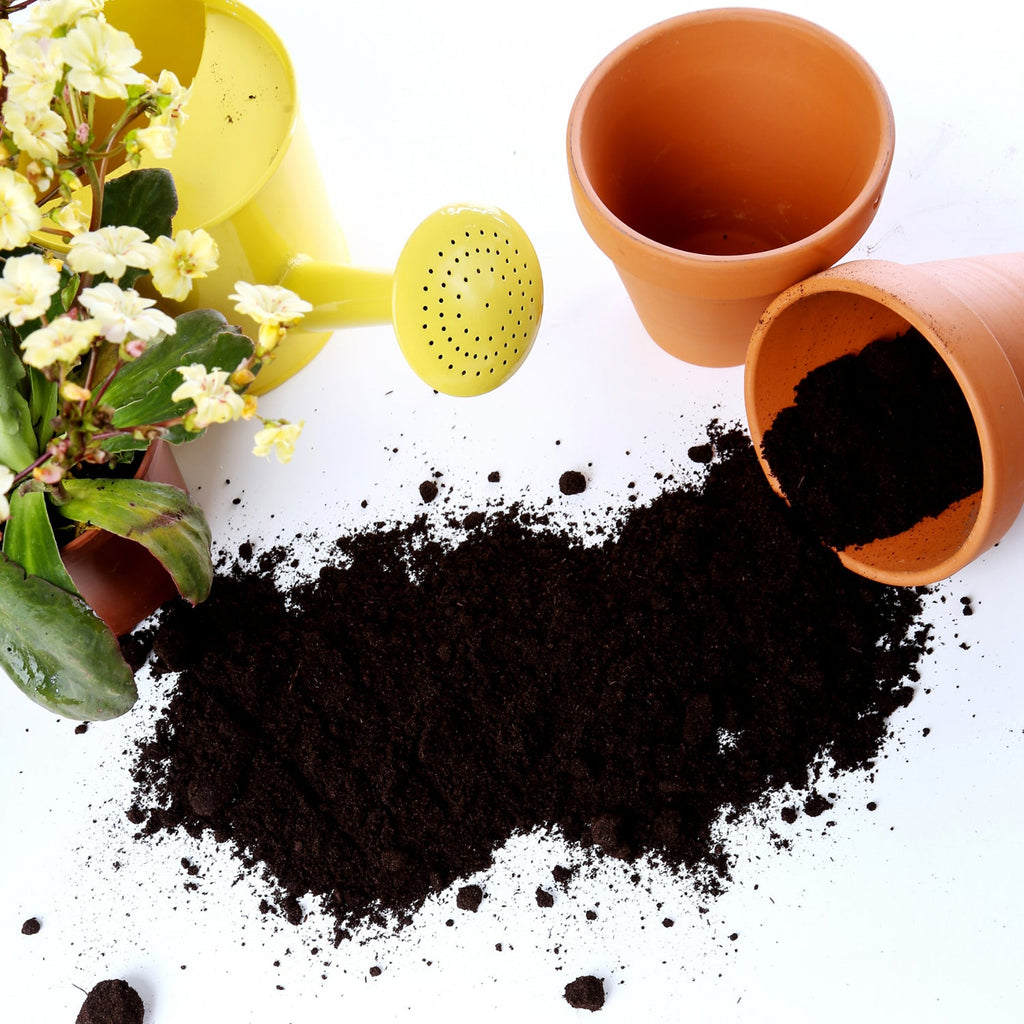 Organic Vermicompost Black Soil for Plants Health Manure (1 KG Approx)-Garden & Outdoors-AniGuess-AniGuess