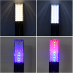 BlazeBright