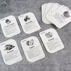 KidKraft Early Learner Educational Flashcards – 32 pcs