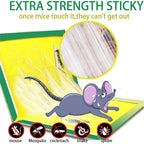 PCI Cardboard Troublegum Small Size Mouse Trap-1pc