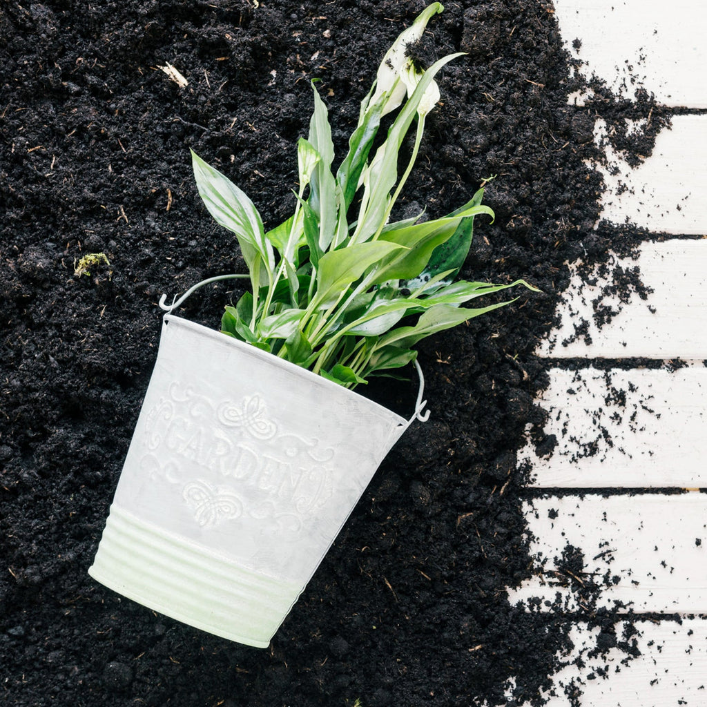 Organic Vermicompost Black Soil for Plants Health Manure (1 KG Approx)-Garden & Outdoors-AniGuess-AniGuess