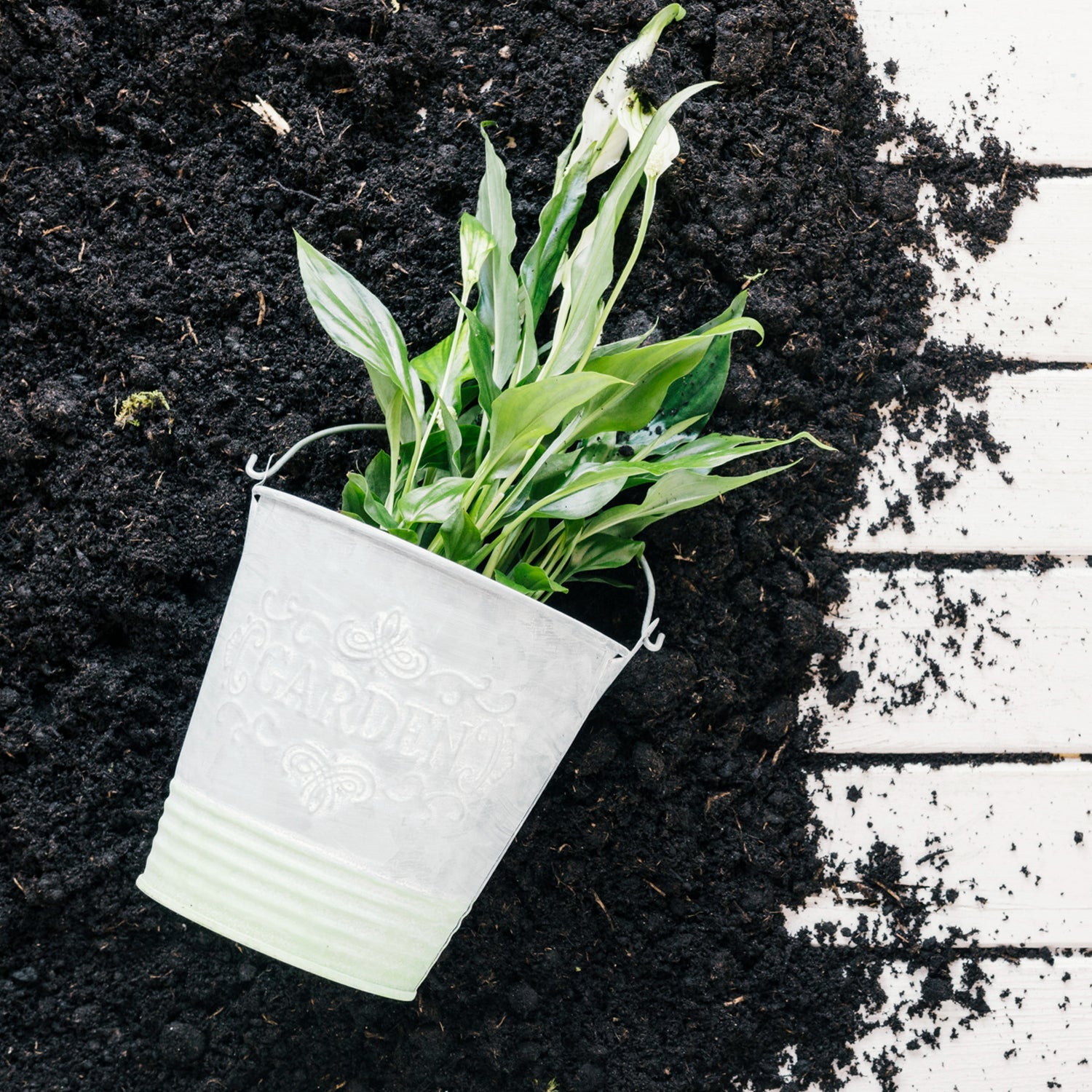 Organic Vermicompost Black Soil for Plants Health Manure (1 KG Approx)-Garden & Outdoors-AniGuess-AniGuess