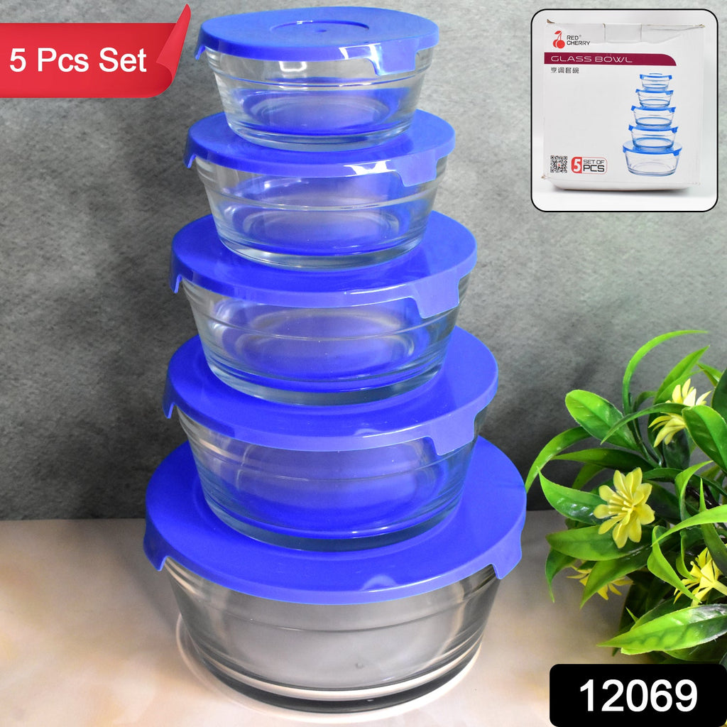 Modern Glass Bowl Set Mixing / Storage Bowls with Lids (5 Pcs Set)-Home & Kitchen-AniGuess-AniGuess