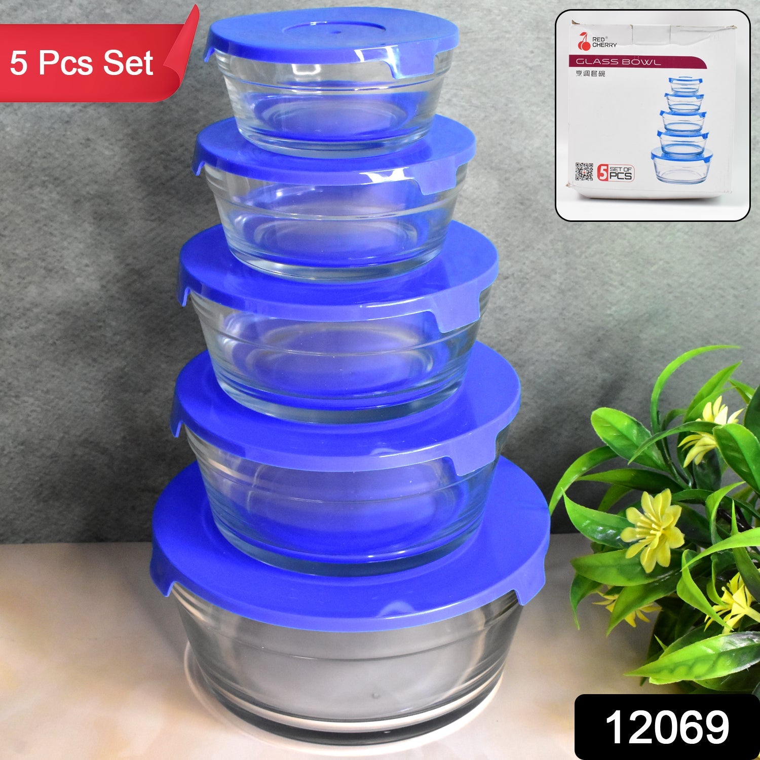 Modern Glass Bowl Set Mixing / Storage Bowls with Lids (5 Pcs Set)-Home & Kitchen-AniGuess-AniGuess