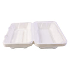 Eco-friendly bagasse food box close up