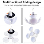 Solar Garden Decorative LED Ground Lights (2 Pc Set)