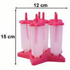 Plastic Ice Cream Molds with Lid (1 Set / 6 Pc)