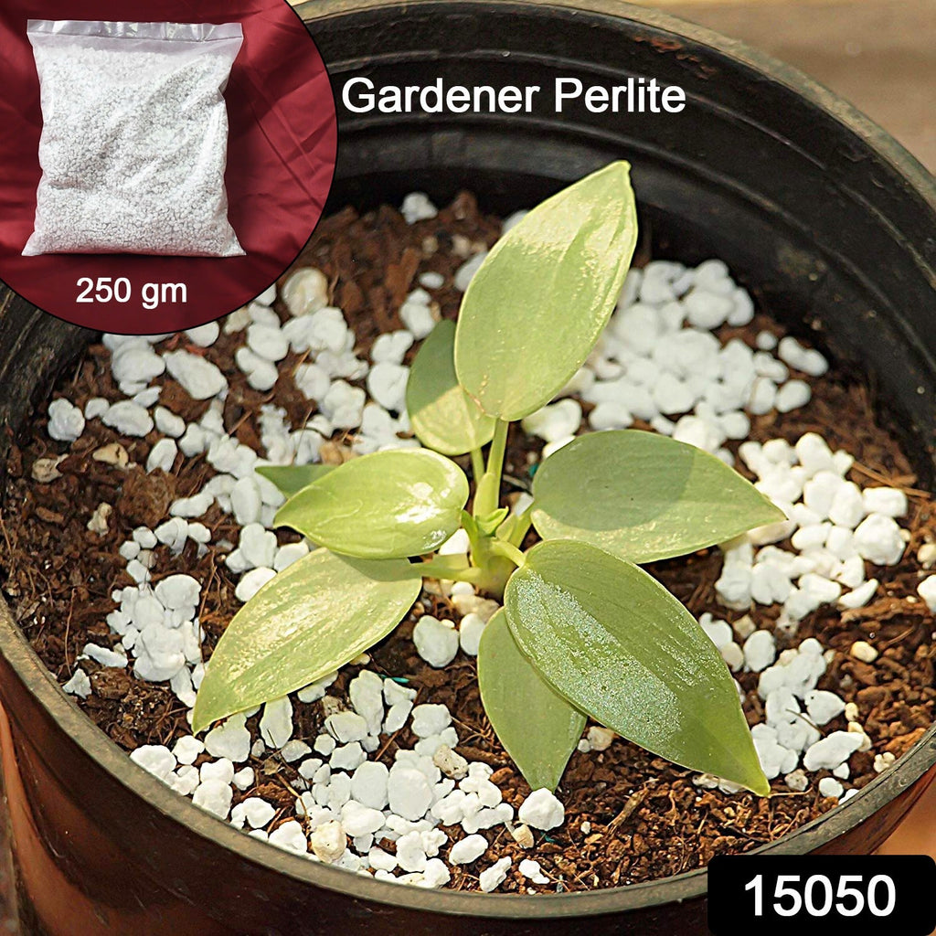 Paradise Perlite for Hydroponics & Horticulture Soil Conditioner (250 GM)-Garden & Outdoors-AniGuess-AniGuess